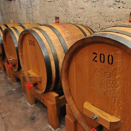 招待所 Stari Sibenik