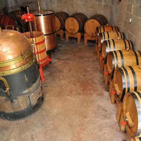 招待所 Stari Sibenik 3*