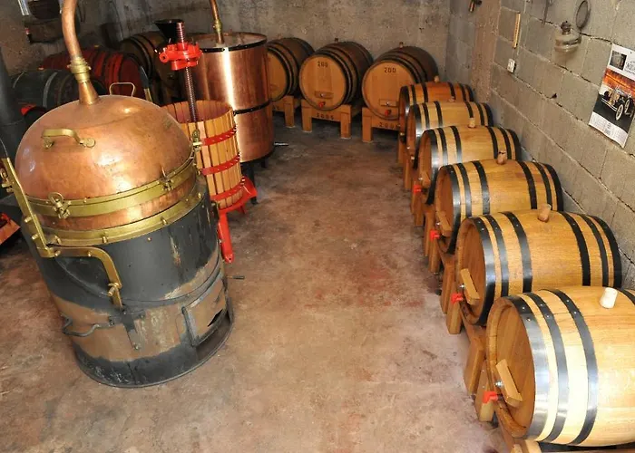 招待所 Stari Sibenik 3*